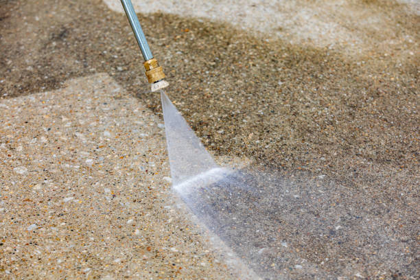 Best Sidewalk and Walkway Cleaning  in Malta, IL